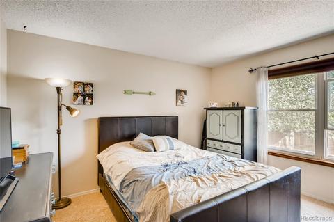 5790 E 120th Pl, Brighton, CO 80602 photo 10