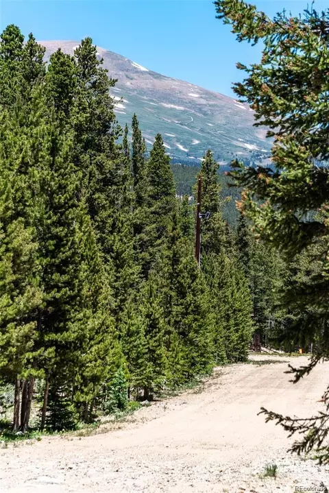 176 Gold Trail Cir, Fairplay, CO 80440