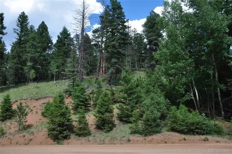 266 Mariposa Dr, Cripple Creek, CO 80813