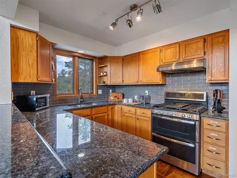 301 Deer Trail Dr, Bailey, CO 80421 photo 15