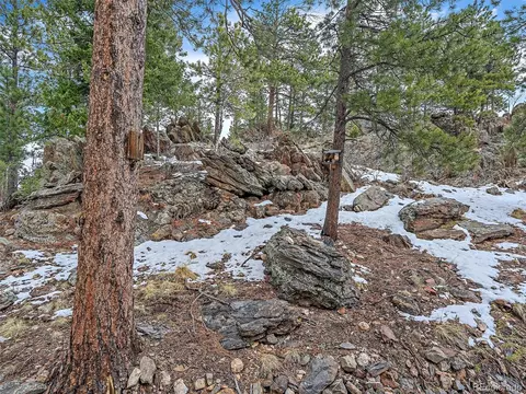 301 Deer Trail Dr, Bailey, CO 80421 photo 37