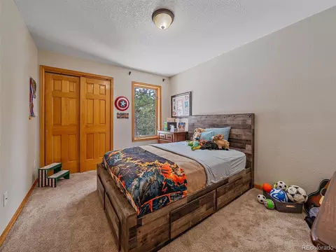 301 Deer Trail Dr, Bailey, CO 80421 photo 18