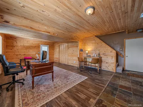 301 Deer Trail Dr, Bailey, CO 80421 photo 29