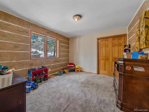 301 Deer Trail Dr, Bailey, CO 80421 photo 19