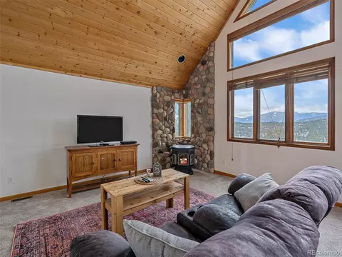 301 Deer Trail Dr, Bailey, CO 80421 photo 9
