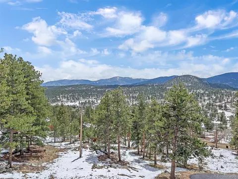 301 Deer Trail Dr, Bailey, CO 80421 photo 35