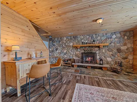 301 Deer Trail Dr, Bailey, CO 80421 photo 27