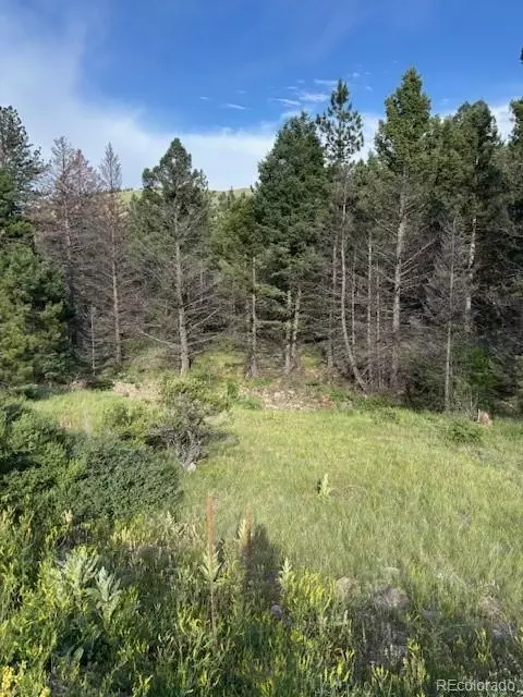 Sawmill Road, Canon City, CO 81212