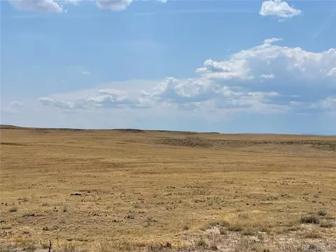 0001 Flower Cir, Simla, CO 80835 photo 8