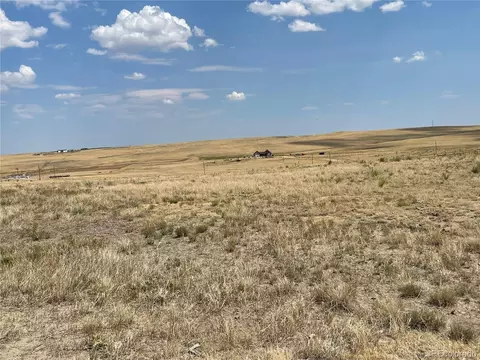 0001 Flower Cir, Simla, CO 80835 photo 18