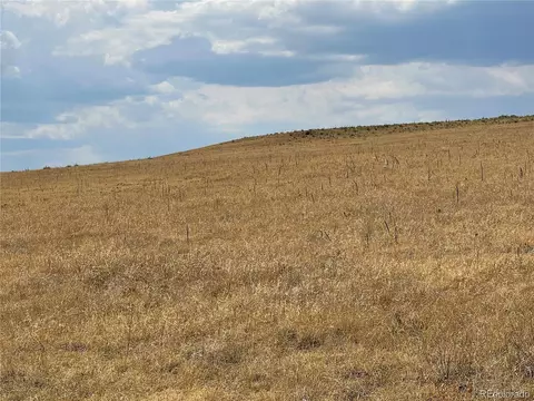 0001 Flower Cir, Simla, CO 80835 photo 20