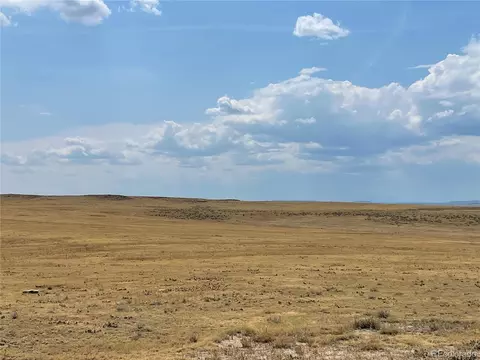 0001 Flower Cir, Simla, CO 80835 photo 17