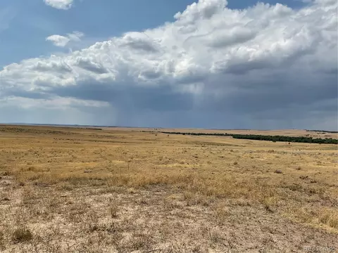 0001 Flower Cir, Simla, CO 80835 photo 10