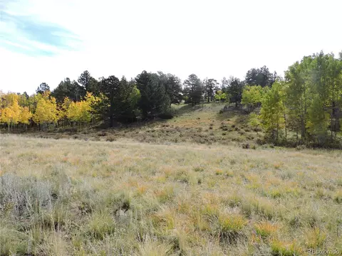 400 Aspen Way Dr, Lake George, CO 80827