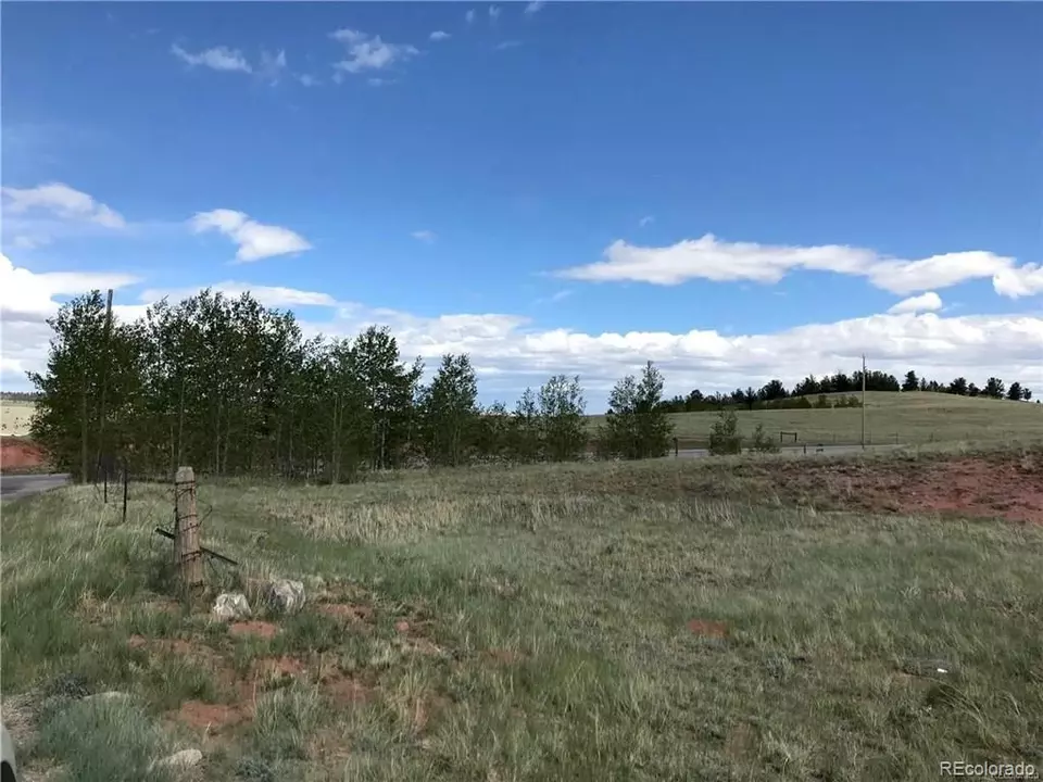  392 Cr-18, Fairplay, CO 80440 photo 7