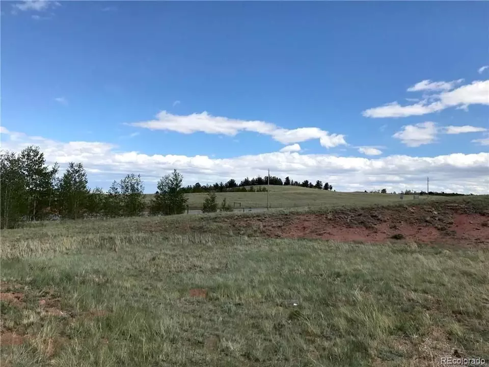  392 Cr-18, Fairplay, CO 80440 photo 3