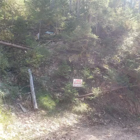 Backwoods Trail, Evergreen, CO 80439