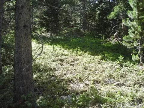 Hillside Road, Idaho Springs, CO 80436