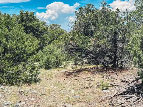 33 Stage Station Cir, Mosca, CO 81146 photo 9