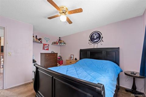 4531 S Deframe St, Morrison, CO 80465 photo 17