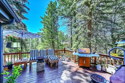 30997 Witteman Rd, Conifer, CO 80433 photo 5