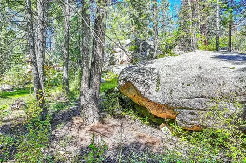 30997 Witteman Rd, Conifer, CO 80433 photo 35