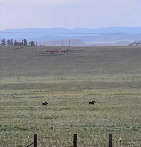 Other - 2660 Campfire Rd, Hartsel, CO 80449 photo 15 of 19