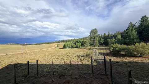 Other - 2660 Campfire Rd, Hartsel, CO 80449 photo 18 of 19