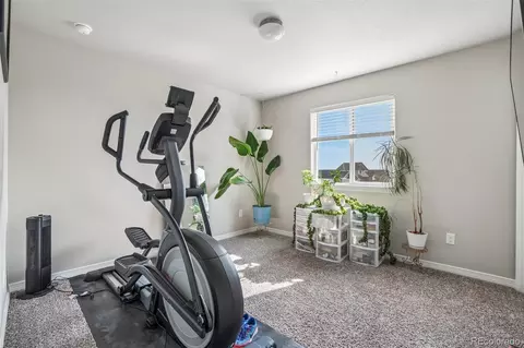Other - 4988 Priors Dr, Windsor, CO 80550 photo 4 of 10