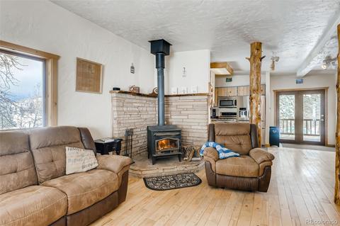 528 County Road 1034, Bailey, CO 80421 photo 5