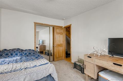 528 County Road 1034, Bailey, CO 80421 photo 14