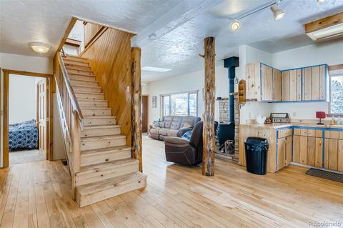 528 County Road 1034, Bailey, CO 80421 photo 17