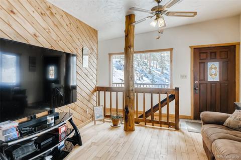 528 County Road 1034, Bailey, CO 80421 photo 7