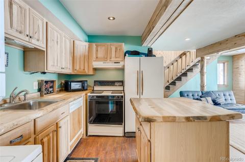 528 County Road 1034, Bailey, CO 80421 photo 27