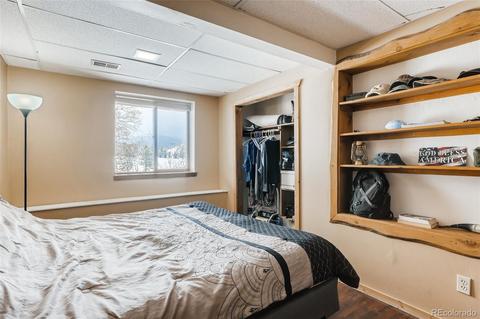 528 County Road 1034, Bailey, CO 80421 photo 28