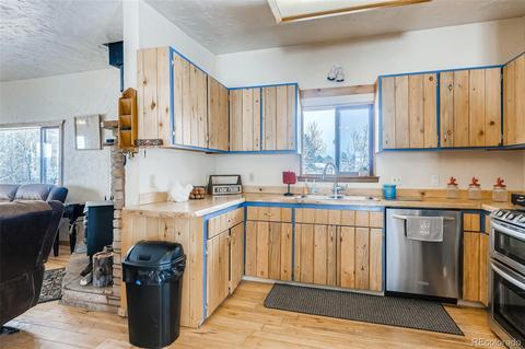 528 County Road 1034, Bailey, CO 80421 photo 10