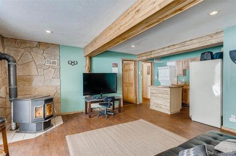 528 County Road 1034, Bailey, CO 80421 photo 24