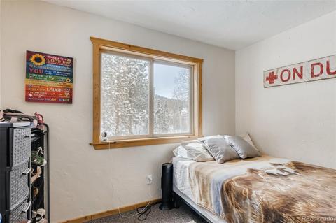 528 County Road 1034, Bailey, CO 80421 photo 23
