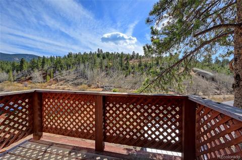 387 Ward St, Bailey, CO 80421 photo 17
