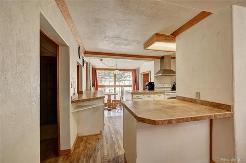 387 Ward St, Bailey, CO 80421 photo 5
