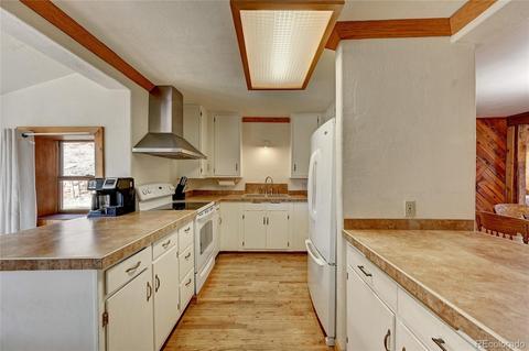 387 Ward St, Bailey, CO 80421 photo 6