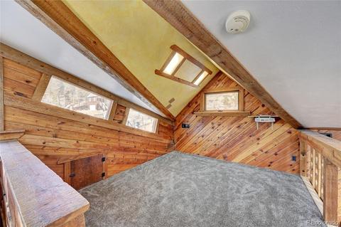 387 Ward St, Bailey, CO 80421 photo 13