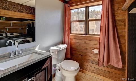 387 Ward St, Bailey, CO 80421 photo 12