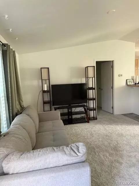 550 E St, Golden, CO 80401 photo 5
