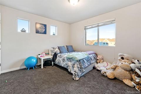 19091 E 55th Ave, Denver, CO 80249 photo 20