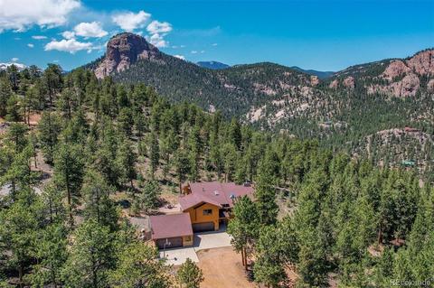 430 Gatewood Ct, Pine, CO 80470 photo 1