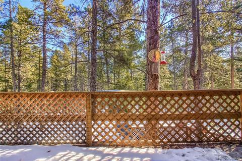 11117 Wallace Ave, Conifer, CO 80433 photo 23