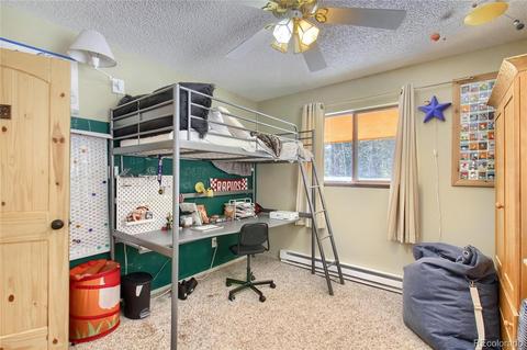 11117 Wallace Ave, Conifer, CO 80433 photo 12