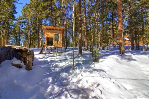 11117 Wallace Ave, Conifer, CO 80433 photo 26
