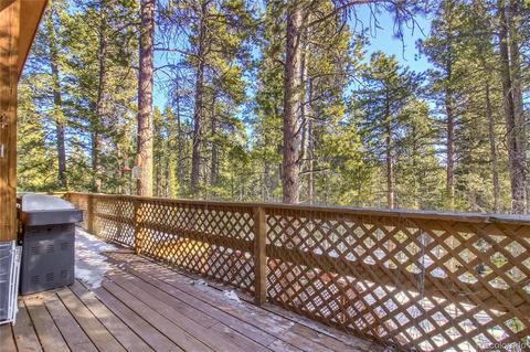 11117 Wallace Ave, Conifer, CO 80433 photo 25